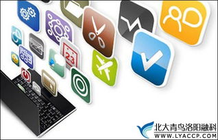 软件开发就业前景与薪资待遇分析